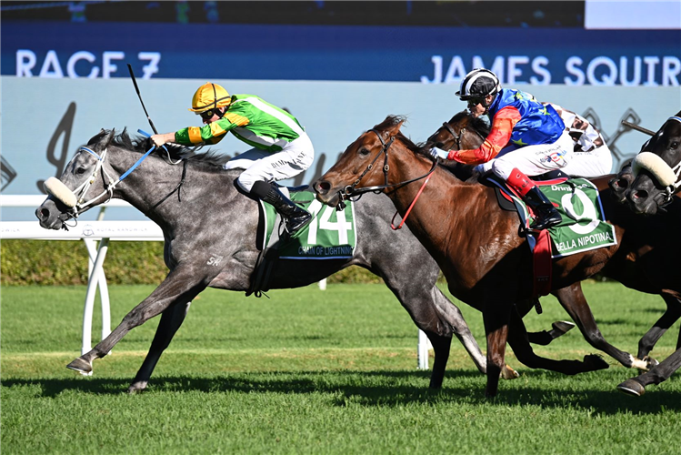CHAIN OF LIGHTNING winning the JAMES SQUIRE T J SMITH STAKES at Randwick in Australia.