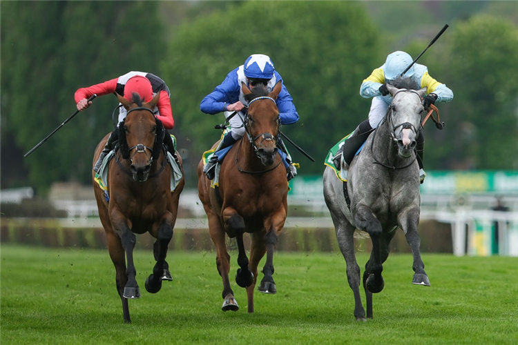 CHARYN (right) winning the Bet365 Mile at Sandown Park in Esher, England.