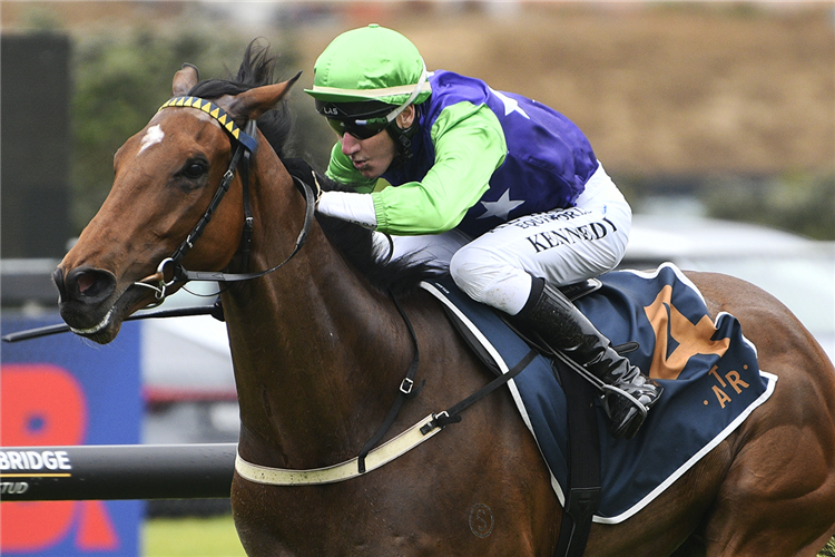 CHECKMATE winning the ARMACUP 3YO STAKES