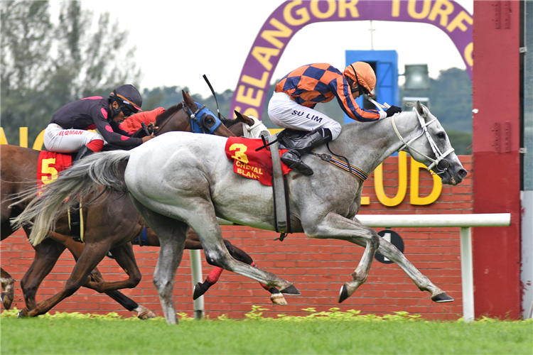 CHEVAL BLANC winning the Dec 01 2024 Selangor Meeting Race 8 (1096)