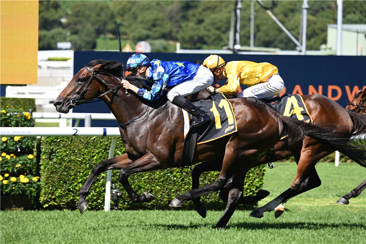 CIRCLE OF FIRE winning the SCHWEPPES CHAIRMAN'S QUALITY at Randwick in Australia.