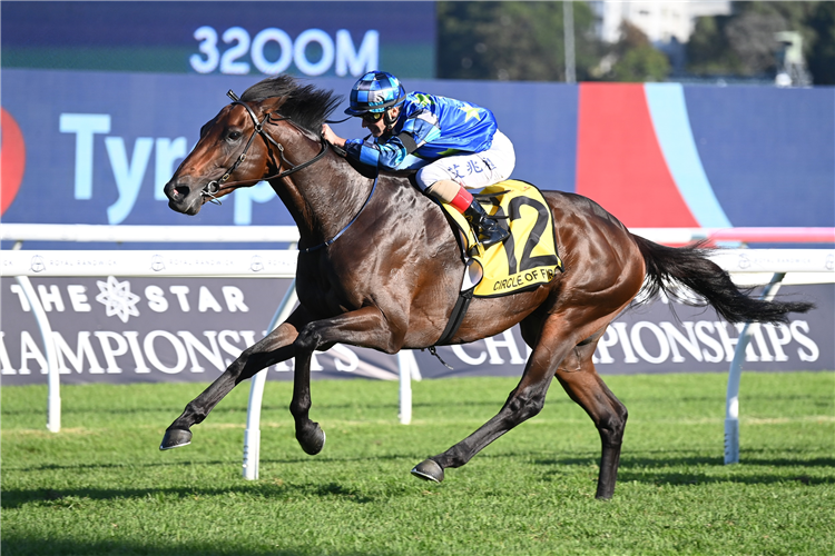 Circle Of Fire winning the Schweppes Sydney Cup at Randwick in Australia.