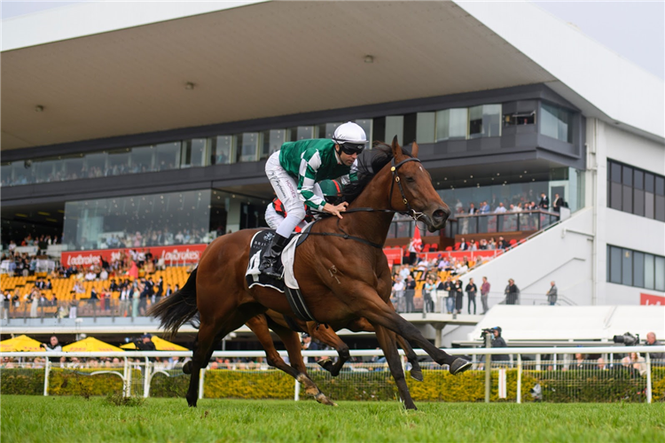 CLEAN ENERGY winning the CITY PROPERTY SERVICES BILL CARTER STAKES at Doomben in Australia.