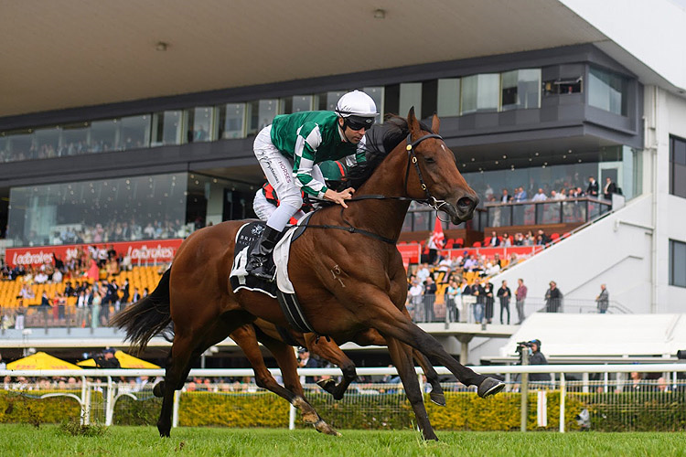 CLEAN ENERGY winning the CITY PROPERTY SERVICES BILL CARTER STAKES