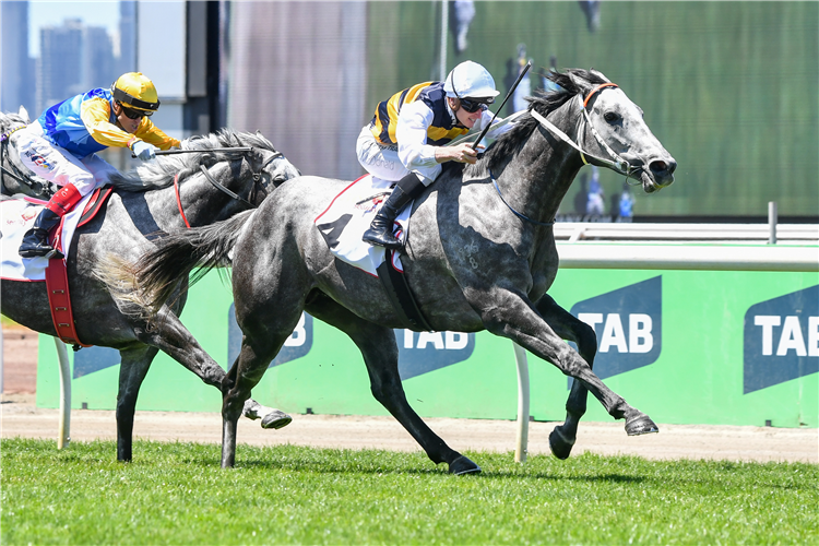 CLOUDLAND winning the MSS Security Subzero Handicap in Flemington, Australia.