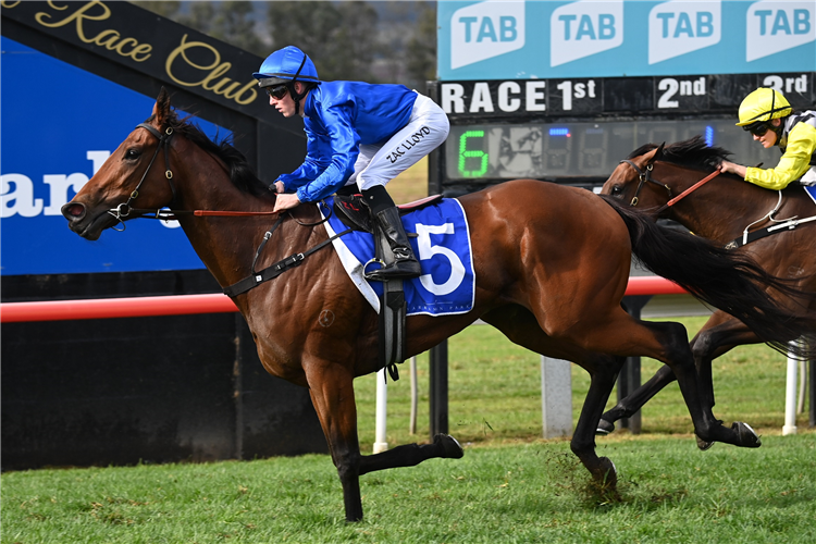 COMMEMORATIVE winning the YARRAMAN PARK DENISE'S JOY STAKES [LISTED RACE] at Scone in Australia.