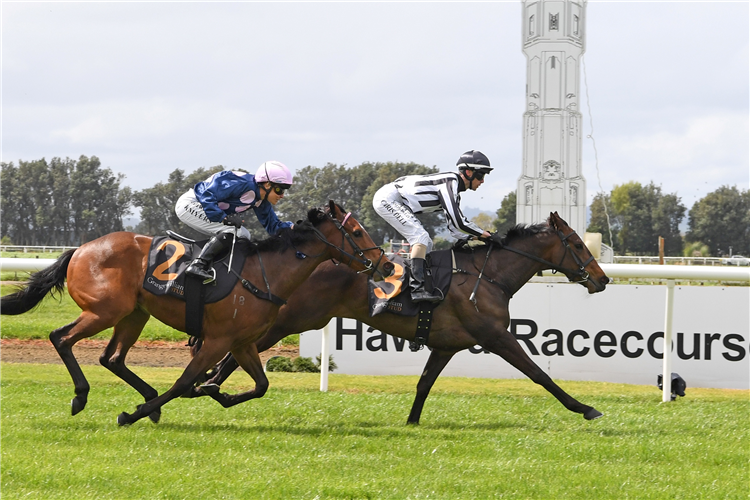 CONNELLO winning the NZB RTR 3YO