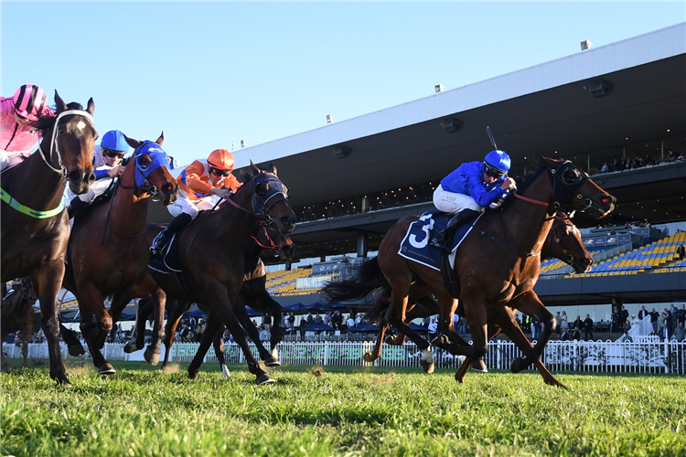 CONTEMPORARY winning the CONGRATULATIONS CHRIS WALLER HANDICAP at Rosehill in Australia.