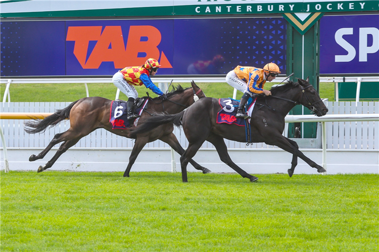 COOL AZA RENE winning the SPEIGHT'S PREMIER TWO-YEAR-OLD PREMIER