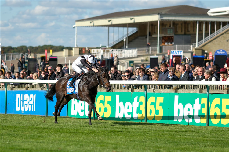 COTO DE CAZA winning the Cornwallis Stakes at Newmarket in England.