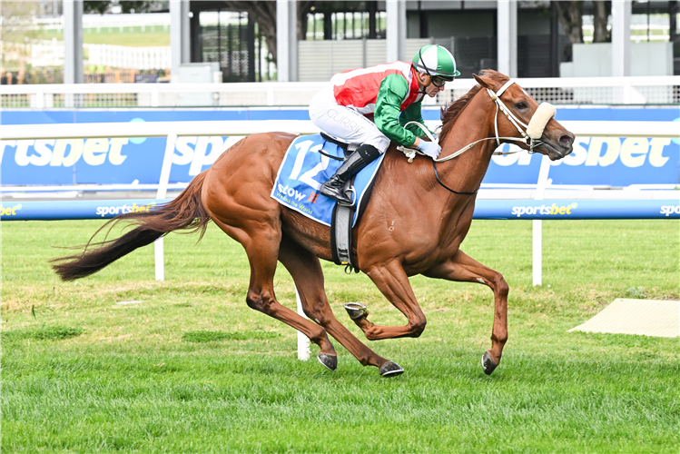 Craig contests the Toorak on Saturday.