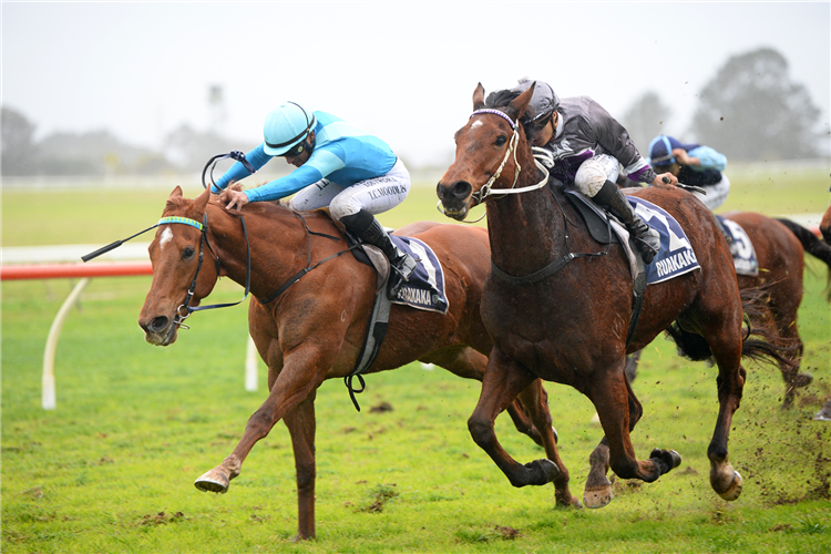 CROCETTI (inside) winning the ALIBABA'S FLYING CARPETS KERIKERI CUP