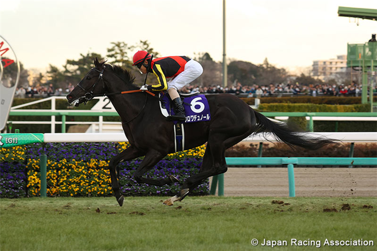 CROIX DU NORD winning the Hopeful Stakes at Nakayama in Japan.