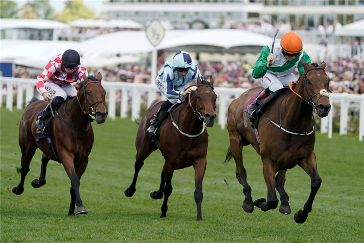 CRYSTAL BLACK winning the Duke Of Edinburgh Stakes at Ascot in England.