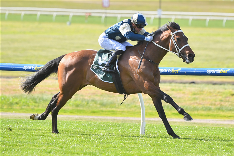 DAGGERS winning the Tobin Brothers Celebrating Lives Plate at Sportsbet Sandown Lakeside in Springvale, Australia.