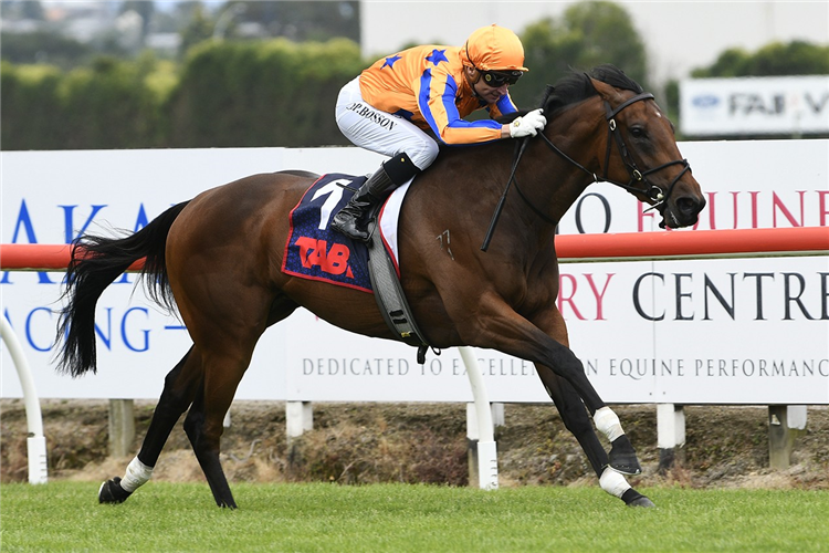 DAMASK ROSE winning the SHAW'S WIRE ROPES AUCKLAND GUINEAS