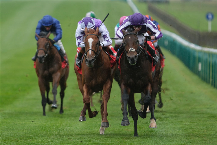 DELACROIX (right, purple cap) winning the Autumn Stakes at Newmarket in England.