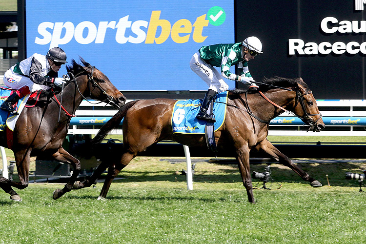 DENY KNOWLEDGE winning the Sportsbet Might And Power