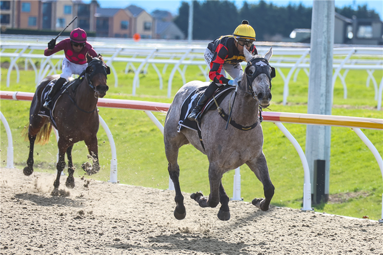 DIABLO BLANCO winning the CJC FEATURE NOMINATIONS CLOSE 27 AUGUST THREE-YEAR-OLD