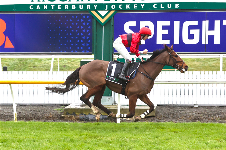 DICTATION winning the MICHAEL 'MICKEY' BEECROFT MEMORIAL 0-1 WIN HURDLES