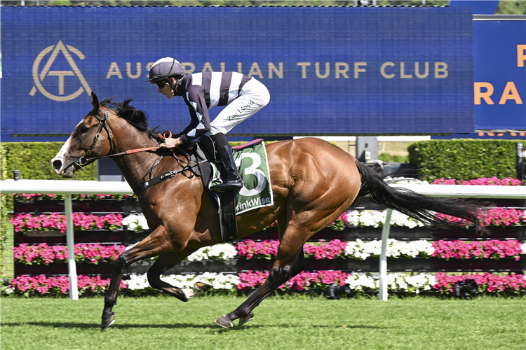 DISNECK winning the JAMES SQUIRE HANDICAP at Randwick in Australia.