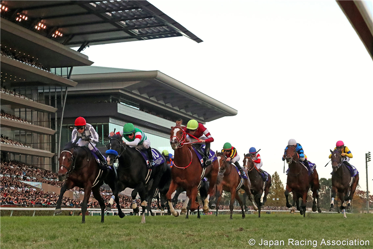 DO DEUCE (red cap) winning the Japan Cup at Tokyo in Japan.