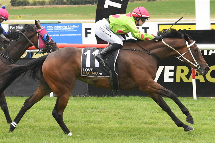 DODDLE winning the HARCOURTS TAUPO CUP