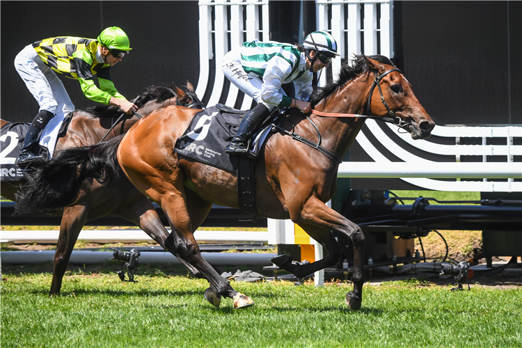 DON'T DOUBT DORY winning the Premier Signs Handicap at Caulfield in Australia.