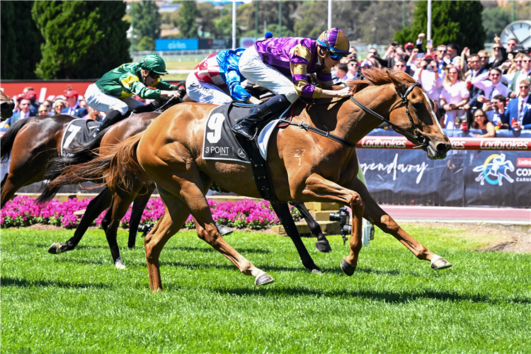 DOUBLE MARKET winning the Fillies Classic at Moonee Valley in Australia.