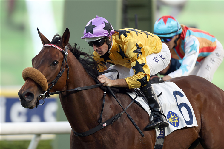 DRAGON JOY winning the NATHAN HANDICAP