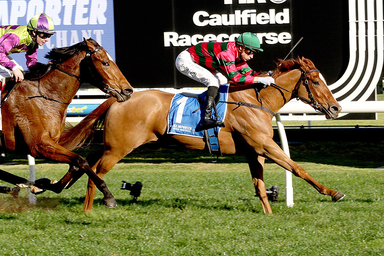 DRIFTING winning the Tile Importer Quezette Stakes