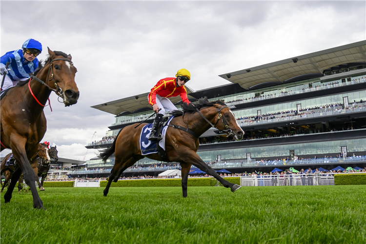 DUCASSE winning the BIG DANCE WILD CARD at Randwick in Australia.