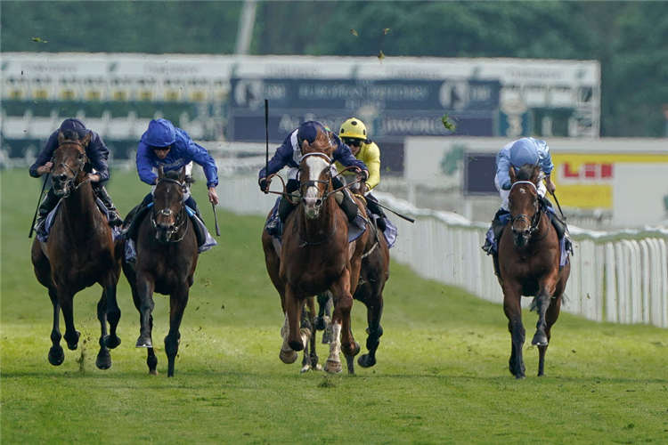 ECONOMICS winning the Dante Stakes at York in England.