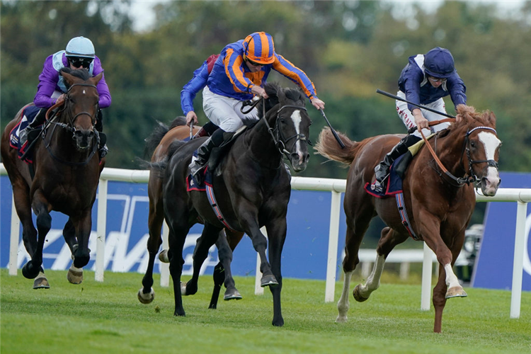 ECONOMICS (dark blue cap) winning the Irish Champion Stakes at Leopardstown in Dublin, Ireland.