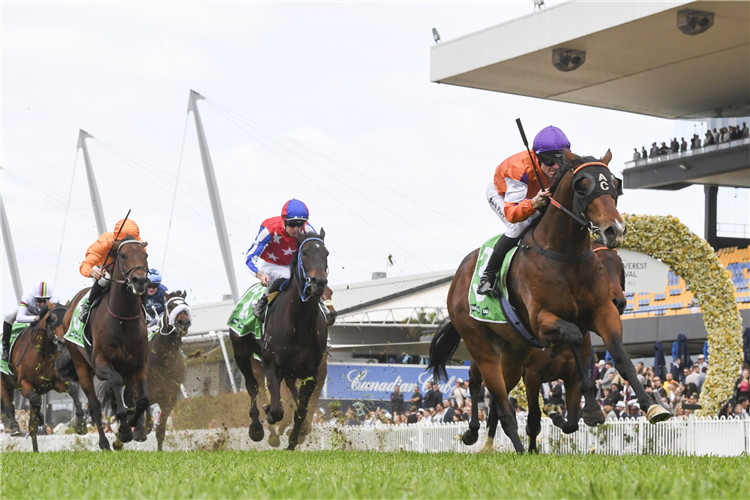 EL CASTELLO winning the Tab Gloaming Stakes at Rosehill in Australia.