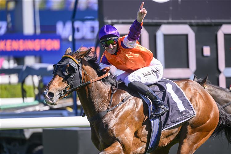 El Castello winning the Mot & Chandon Spring Champion Stakes at Randwick in Australia.