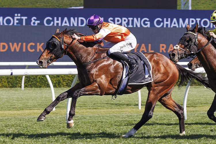 El Castello winning the Mot & Chandon Spring Champion Stakes at Randwick in Australia.