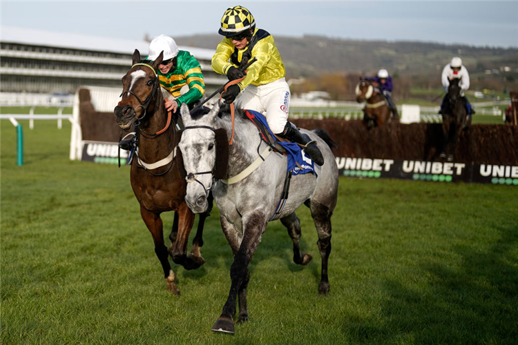 ELIXIR DE NUTZ (yellow/black cap) winning the Clarence House Chase at Cheltenham in England.