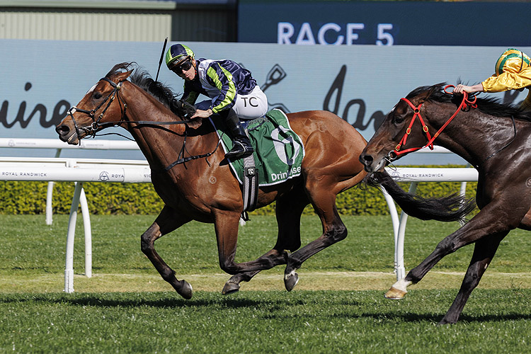 ELIYASS winning the JAMES SQUIRE KINGSTON TOWN STAKES