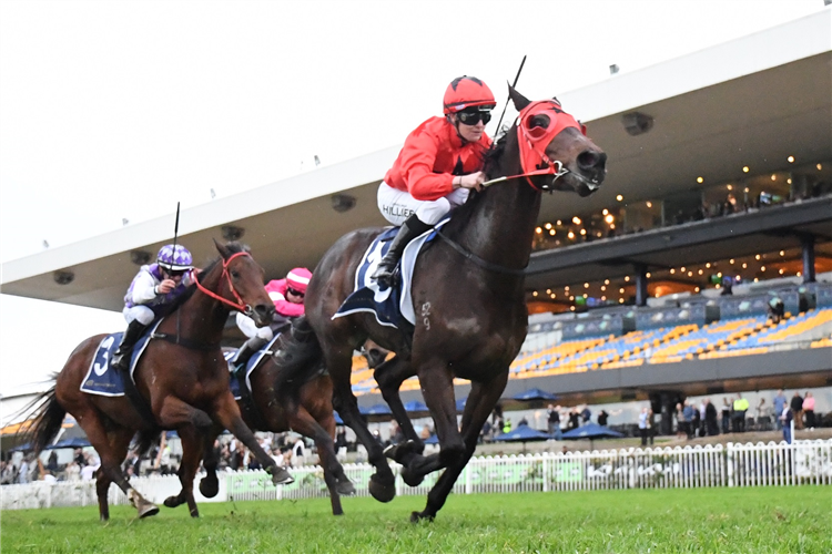 ELSON BOY winning the ROSEHILL BOWLING CLUB HANDICAP at Rosehill in Australia.