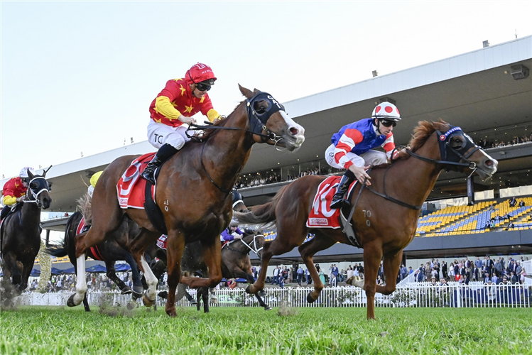 ENCAP winning the Toyota Forklifts Theo Marks Stakes at Rosehill in Australia.