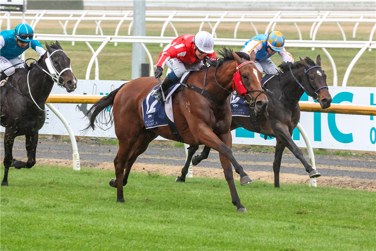 EPEE BEEL winning the NZB INSURANCE STAKES