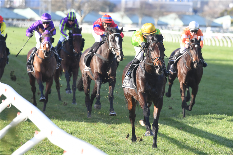 ESPRESSO TO GO winning the JARVIS PLUMBING GASWORKS LTD WHYTE HANDICAP