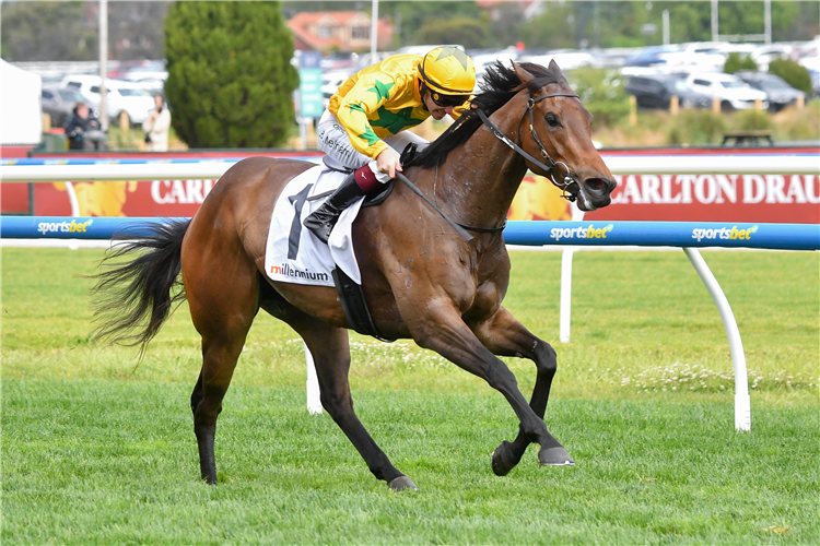 ESTRIELLA winning the Millennium Sprint at Caulfield in Australia.