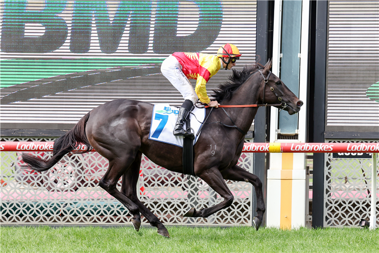 ETERNAL FLAME winning the BMD Group Sunline Stakes at Moonee Valley in Australia.