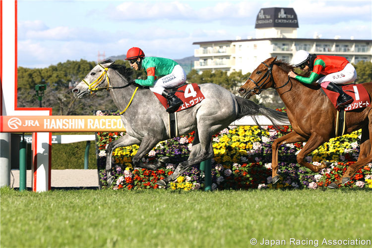 ETES VOUS PRETS winning the Fillies' Revue (Japanese 1000 Guineas Trial) at Hanshin in Japan.