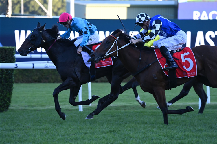 FACILE winning the CHINA HORSE CLUB P J BELL STAKES at Randwick in Australia.