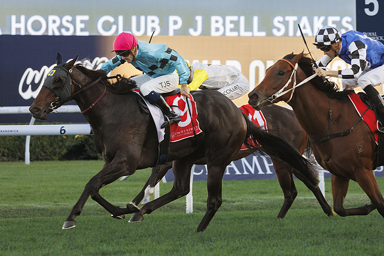FACILE winning the CHINA HORSE CLUB P J BELL STAKES at Randwick in Australia.