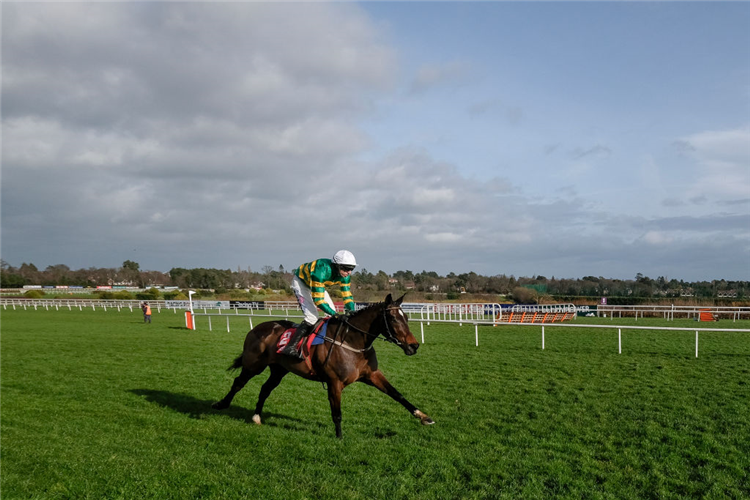 FACT TO FILE winning the Novice Chase at Leopardstown in Dublin, Ireland.