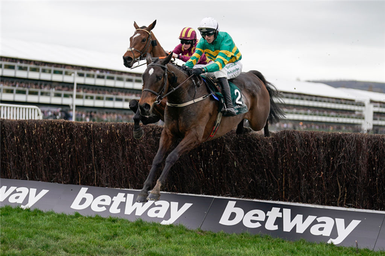 FACT TO FILE winning the Brown Advisory Novices’ Chase at Cheltenham in England.